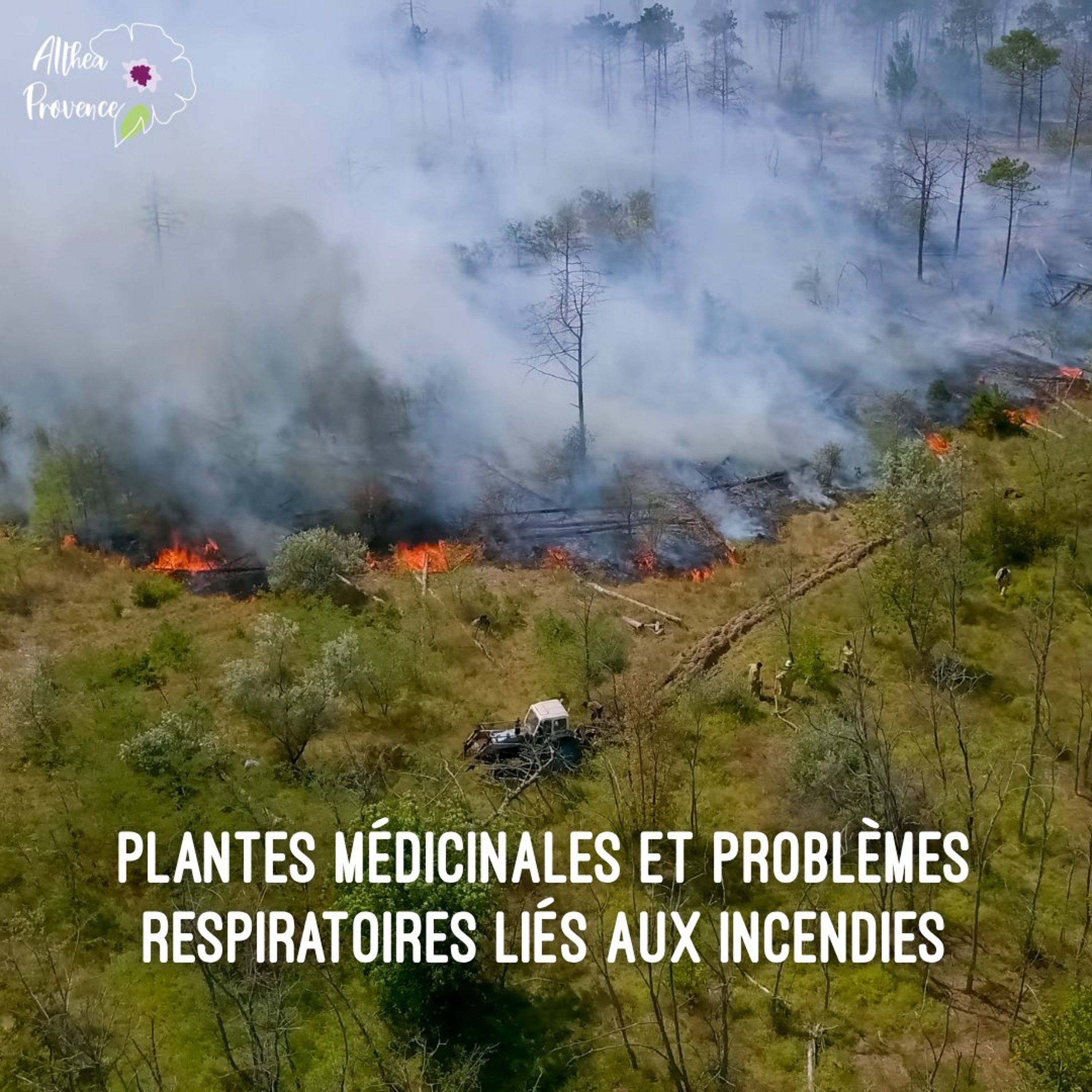 Plantes et problèmes respiratoires liés aux incendies