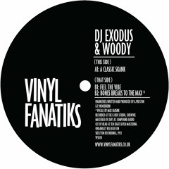 2. DJ Exodus & Woody 'Feel The Vibe' - Vinyl Fanatiks - VFS030 - 192mp3 clip