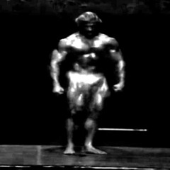 Tom platz x final cause (DinoA1 x prodghesti)