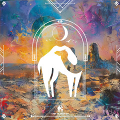 T.Indi, SunPaul, Cafe De Anatolia - Rampage (Original mix)