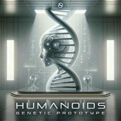 Humanoids - Shamanic Cube (Recoded Mix)