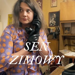 Nikolas Sobush feat. Zuzanna Niedzielska - Sen Zimowy