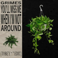 Grimes - You WIll Miss Me When I'm Not Around(Tobey "" Edit)