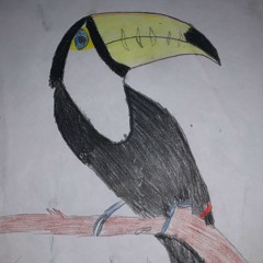 Feathers(features)