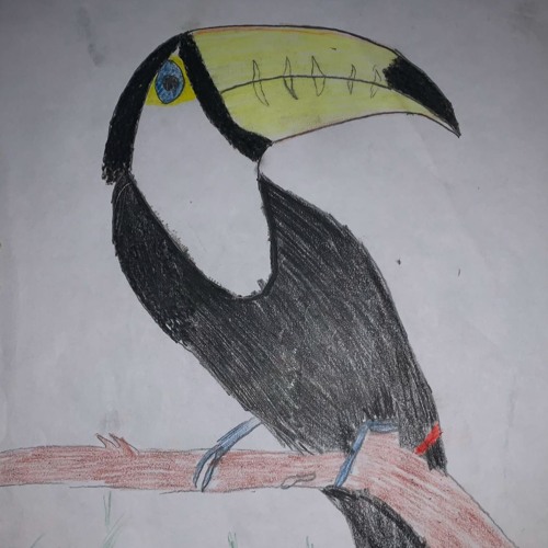 Feathers(features)