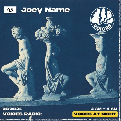 Joey Name