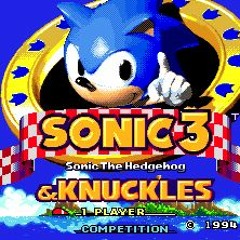 Sonic The Hedgehog 3 - End Credits Orchestral Remix [Mr Union]