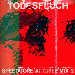 Todesfluch @ Speedcore Angriff Mix 2