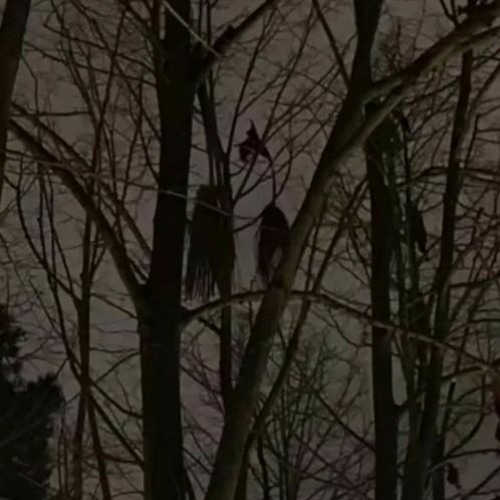 Forevermore 10 Minute