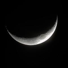 三日月ステップ(TKXMN Re"Mi-ku"x)