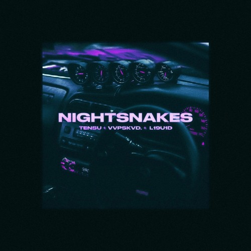 NIGHTSNAKES w/ VVPSKVD. , L19U1D