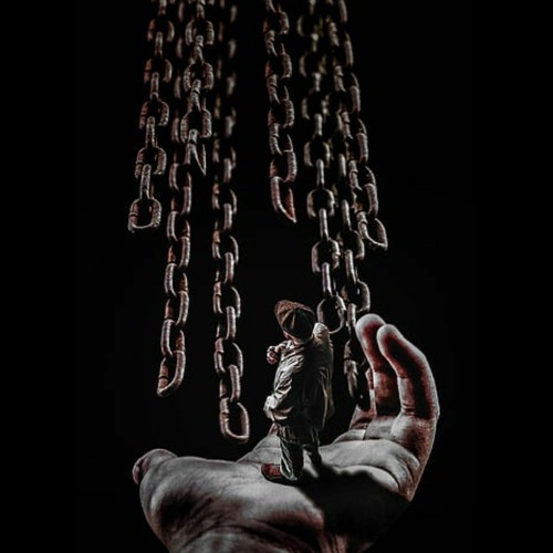 Really did it ft. Z-of Firing Squad