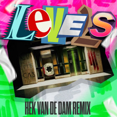 Avicii - Levels (Hek Van De Dam Remix)