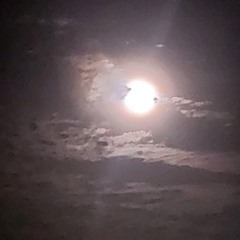 Dj Alkoridim - Blood blo monkey.mp3