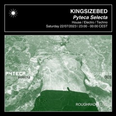 KINGSIZEBED - PYTECA SELECTA 003 - ROUGHRADIO.LIVE