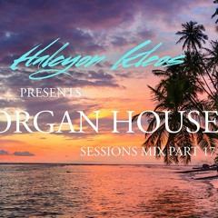 Halcyon Kleos - Summer House Organ Session Mix Part 17