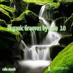 Organic Grooves By ralle 10