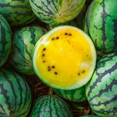 Vandmelon
