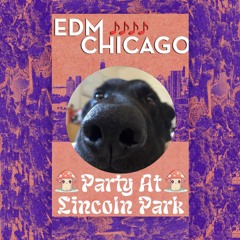 Party At Lincoln Park