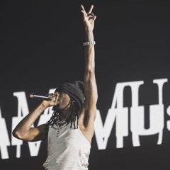 Playboi Carti Chromehearts Snippet.mp3