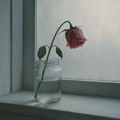 Without You
