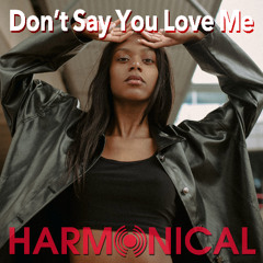 DON'T SAY YOU LOVE ME