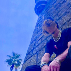 ZARD (prod ivory)