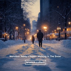 Monsieur Teddy x Hayjee - Walking In The Snow