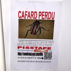 Skrillex - Tears (flip)