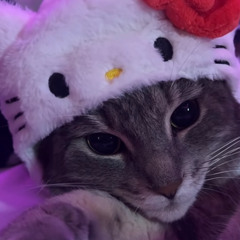 ball hog_  ft.MoneyMontana