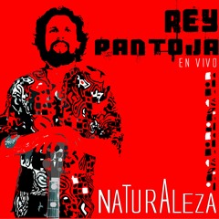Renacimiento - Rey Pantoja - #Naturaleza