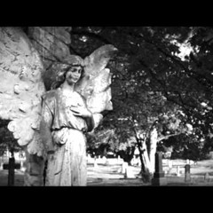 Whistling Through The Cemetary