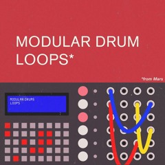 Ricardo's Brother - Modular Drum Loops From Mars