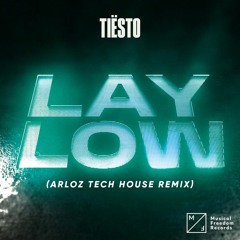 Tiësto - Lay Low (Arloz Tech House Remix)[FREE DOWNLOAD]