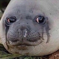 Smile Please, Seal (Prod. Aceboy414) *2022*