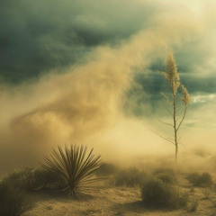 NO MAN'S LAND - July 31 - Radio Mix 2025
