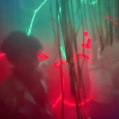 Tal Groenman @ House of Tunes 2024 (Closing)