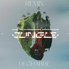 Alok, The Chainsmokers & Mae Stephens - JUNGLE ( DJ GHABBE REMIX)