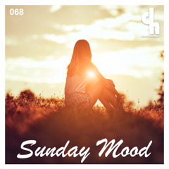 Dave Harrigan - Sunday Mood 068