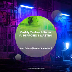 Daddy Yankee & Snow ft. PSPROJECT & ASTRO - Con Calma (EvoLexX Mashup)