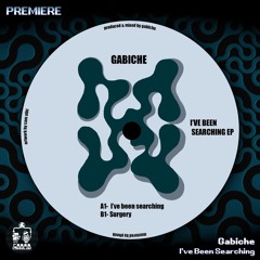 Gabiche ─ I've Been Searching