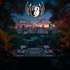 DJ E - Dance of the Drums (Afro House Mix Fall 2025)