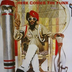 Is Da Funk (Short Mix)