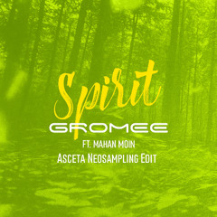 Gromee feat. Mahan Moin - Spirit (Asceta Neosampling Edit) [2017]