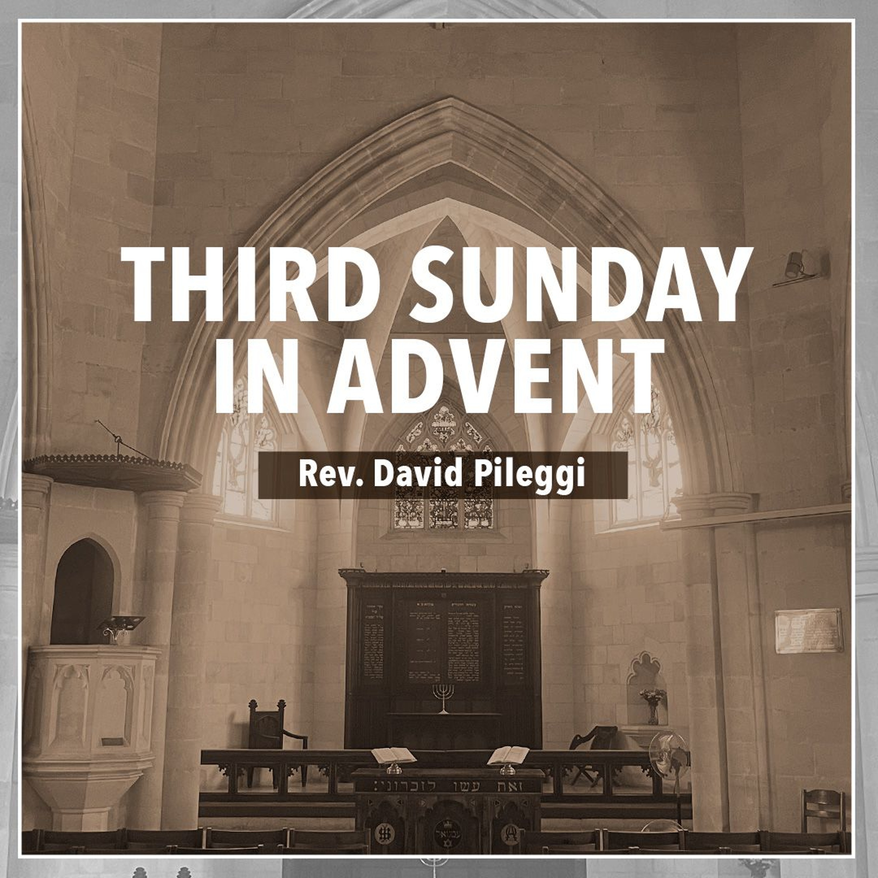 3rd Sunday in Advent - Rev. David Pileggi episode artwork