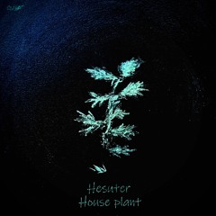 House Plant