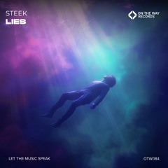 Steek - Lies