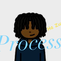 ZuOneK - Process