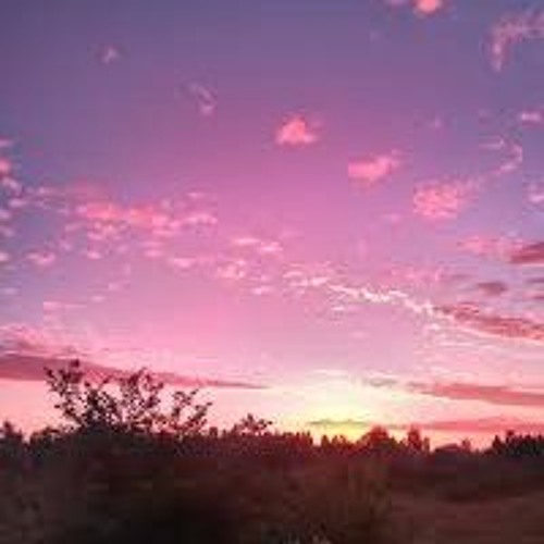Ласковый мерзавец