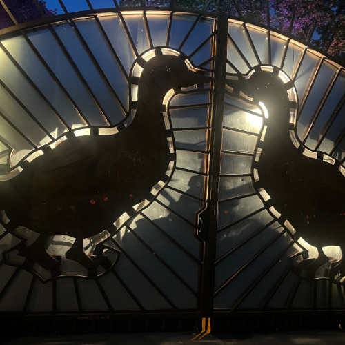 Basile de Suresnes @Sisyphos, Berlin I Wintergarten (Half set) - 2024 august 18th